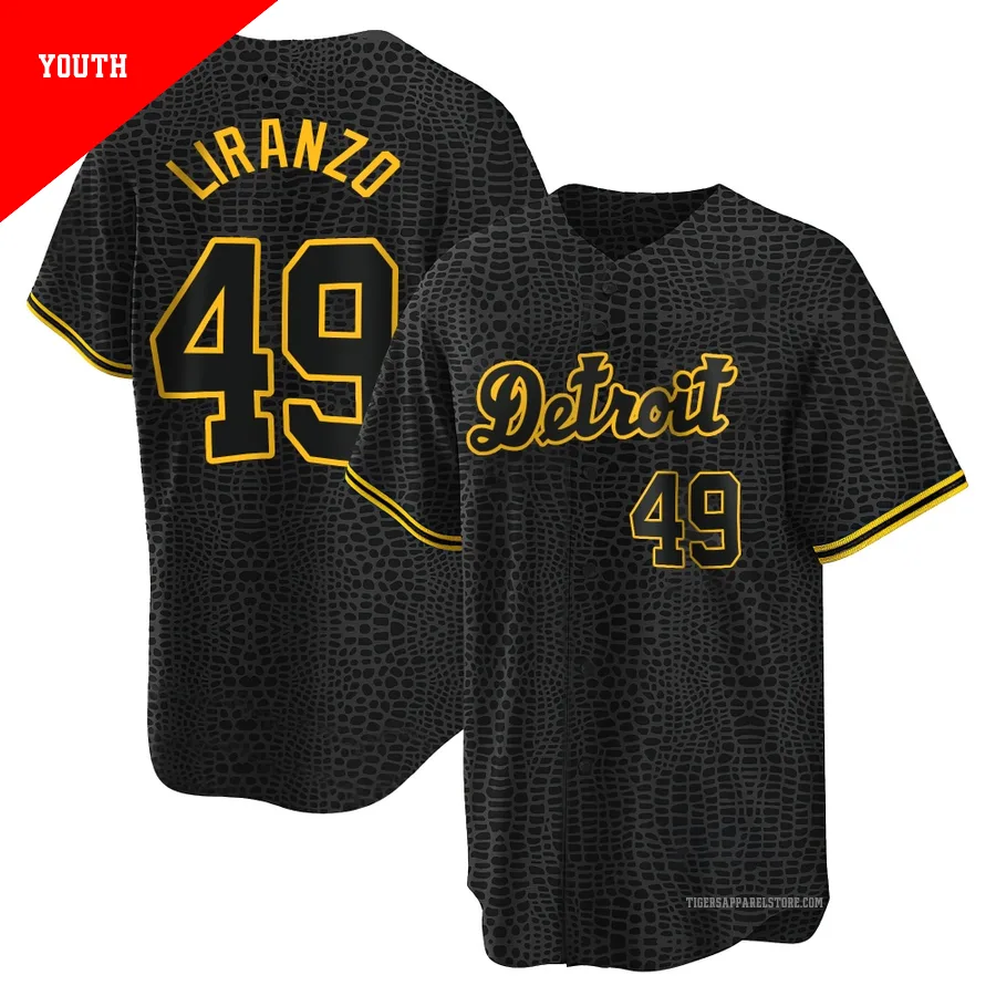 Detroit Tigers Thayron Liranzo Jersey | Detroit Tigers Men, Women